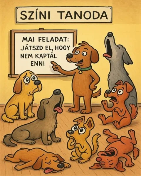 #VK1775145411