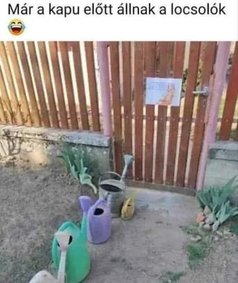 #VK1775221110