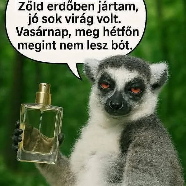 #VK1775244357 #VK1775244357