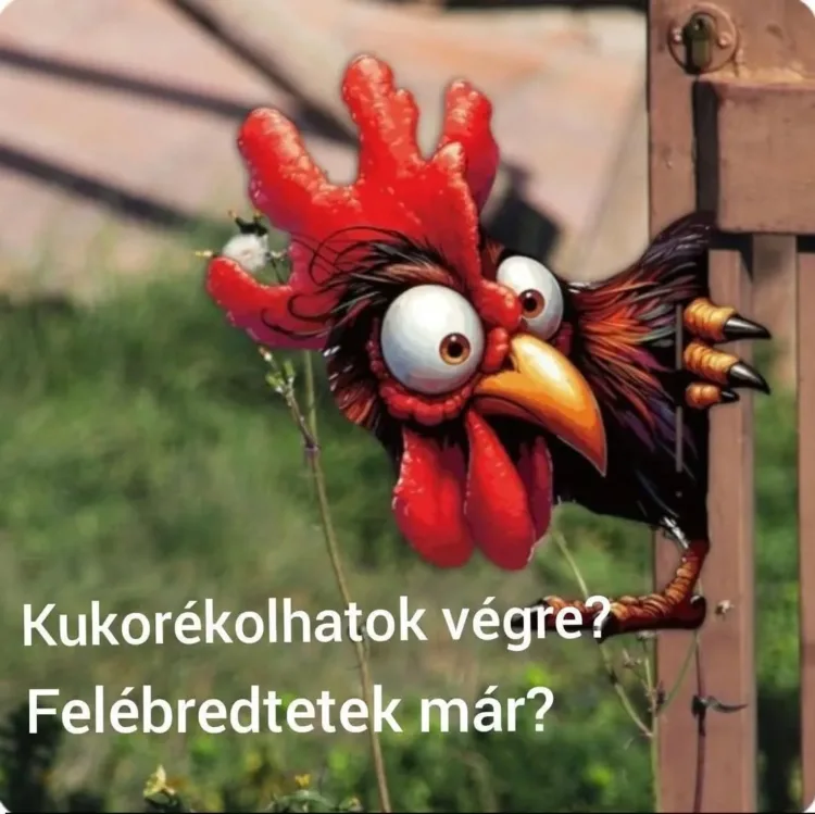 #VK1775370793 #VK1775370793