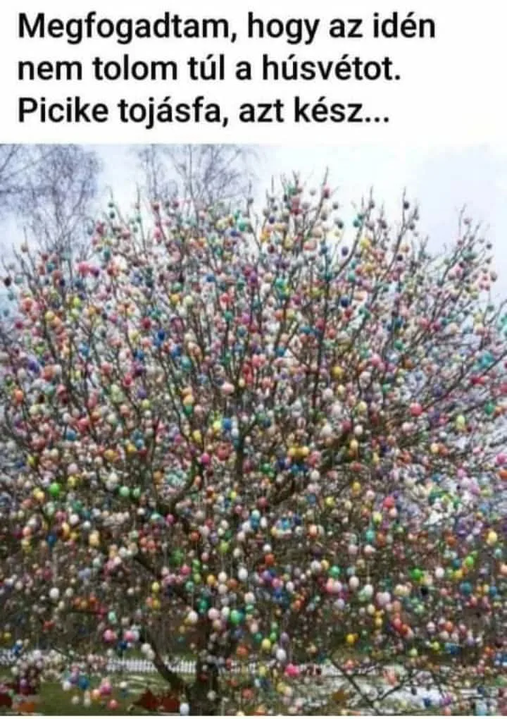 #VK1775372241 #VK1775372241