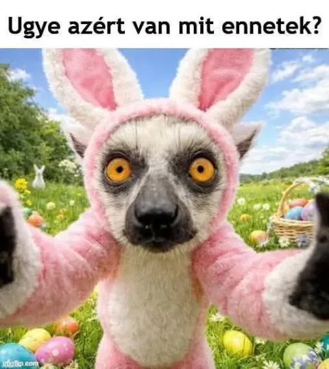 #VK1775389771