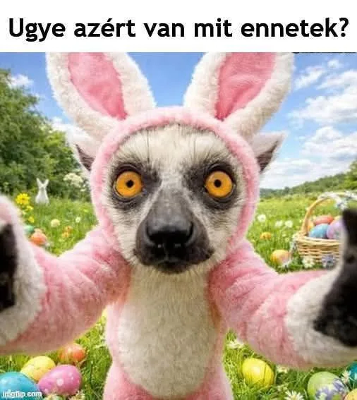 #VK1775389771 #VK1775389771