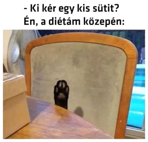 #VK1775391508