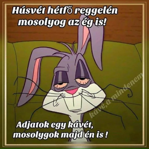 #VK1775455933
