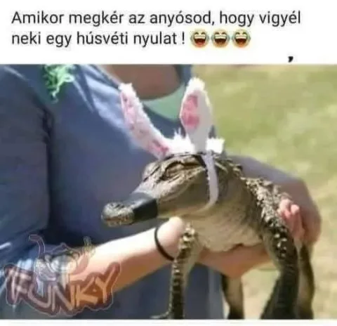 #VK1775473100