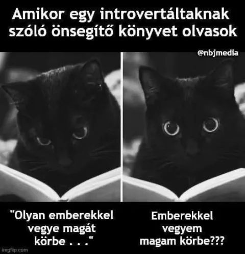#VK1775509066