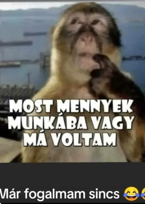 #VK1775538893