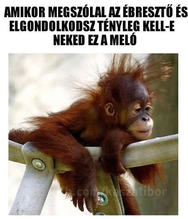 #VK1775542338 #VK1775542338