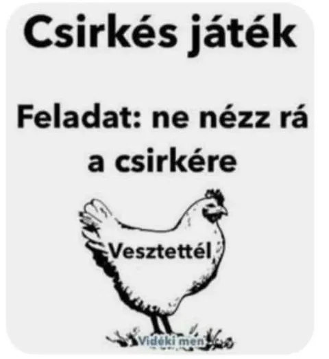 #VK1775577309