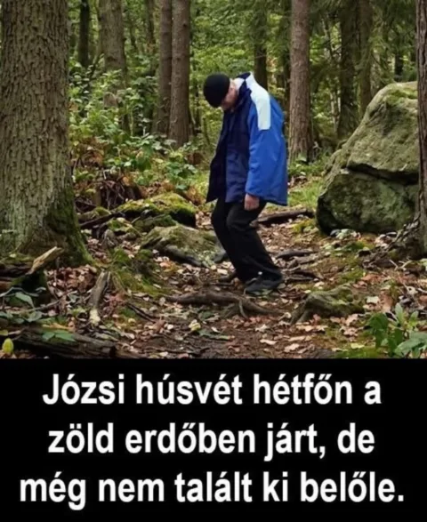 #VK1775577335