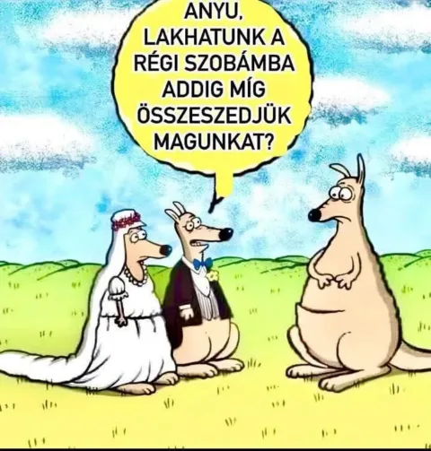 #VK1775590733
