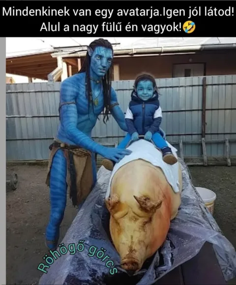 #VK1775675978