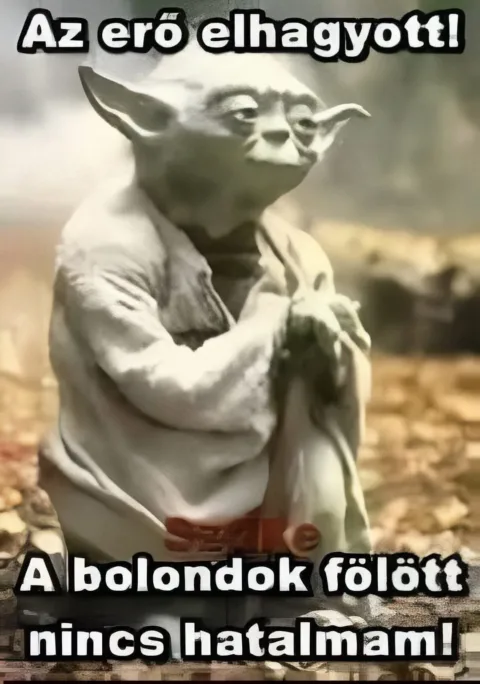 #VK1775698392