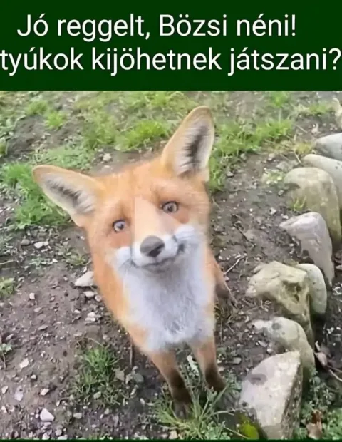 #VK1775719699