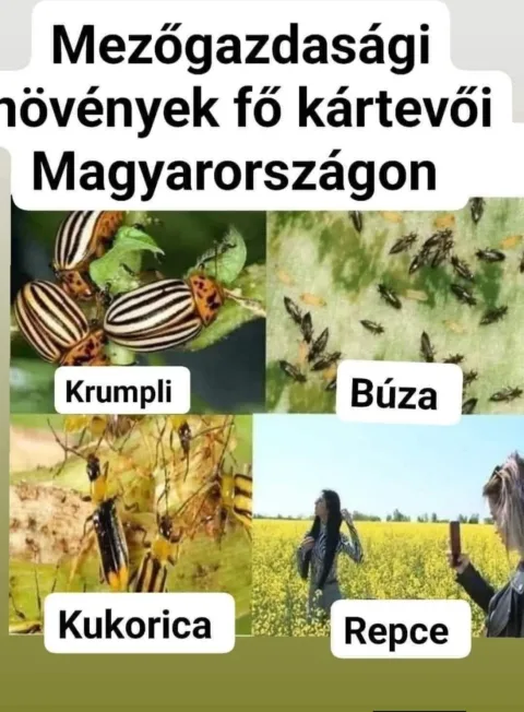 #VK1775870945