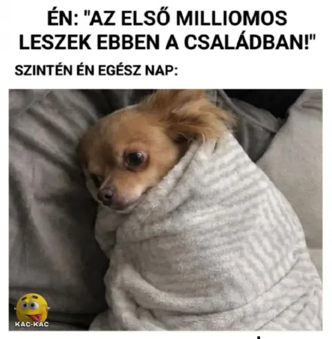 #VK1775919623