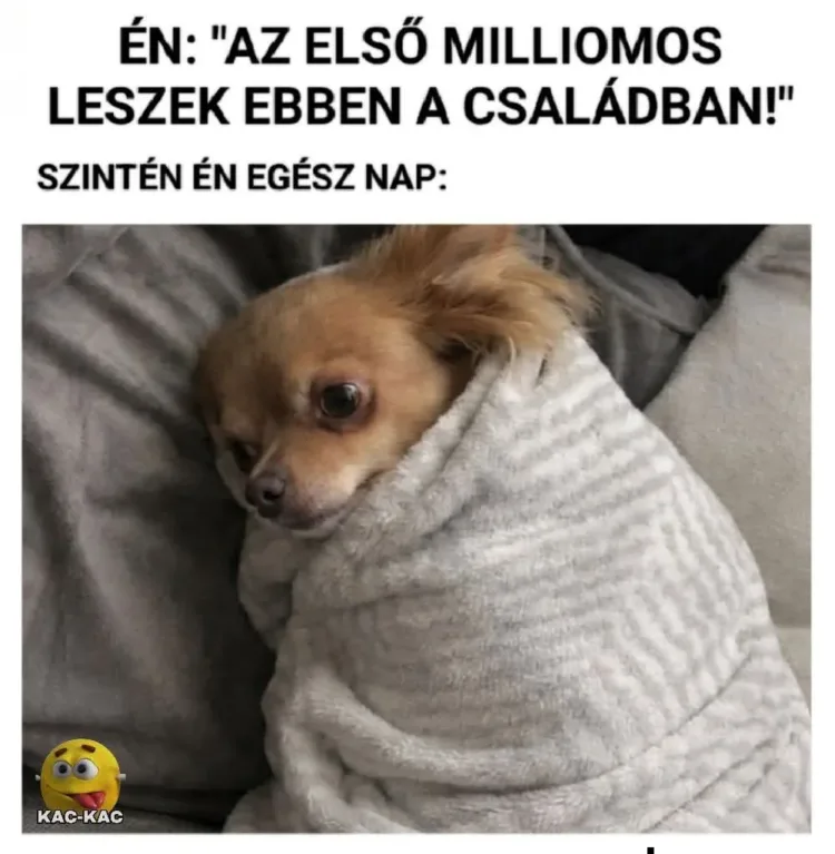 #VK1775919623 #VK1775919623