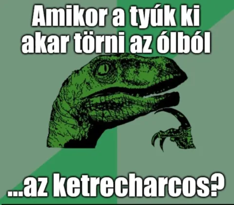 #VK1775923445