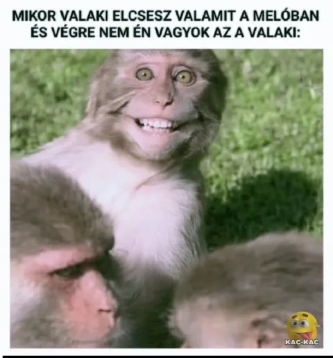#VK1775926810