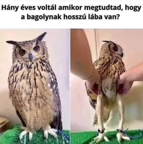 #VK1776010801
