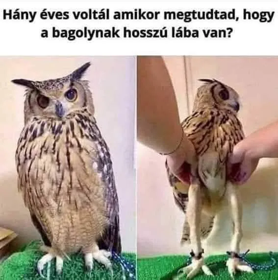 #VK1776010801 #VK1776010801