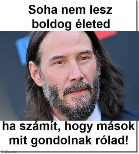 #VK1776184677