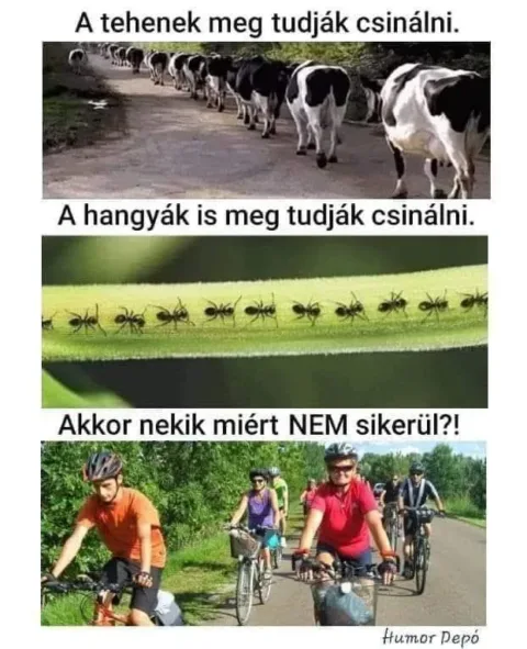 #VK1776228694