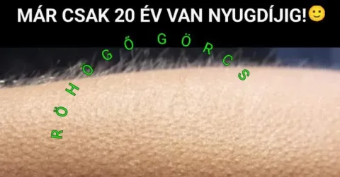#VK1776315610