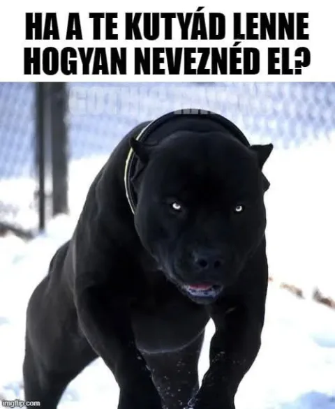 #VK1776376544