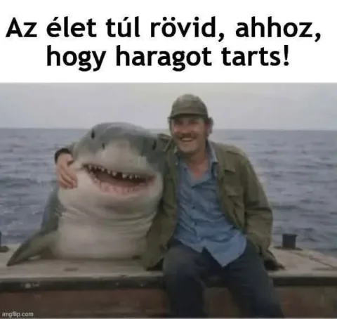 #VK1776399690