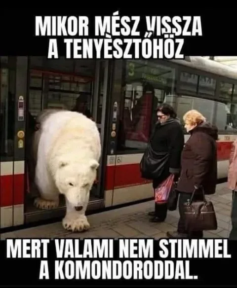 #VK1776540905