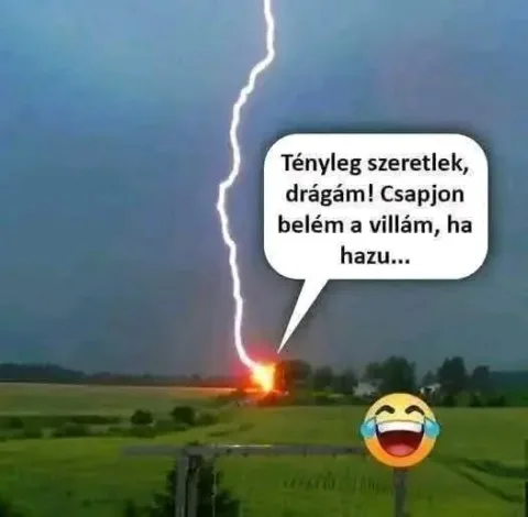 #VK1776541001