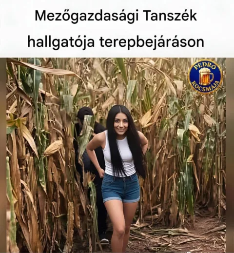#VK1776802862