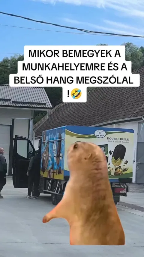 #VK1776826176