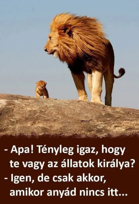 #VK1777114173