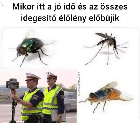 #VK1777187260