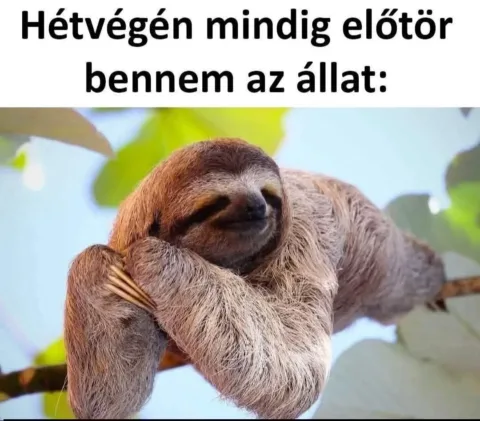 #VK1777193710