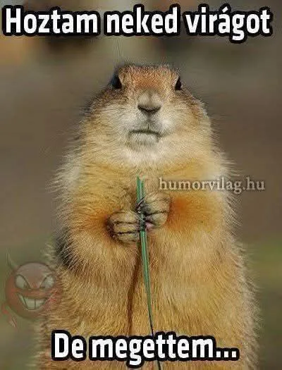 #VK1777242083
