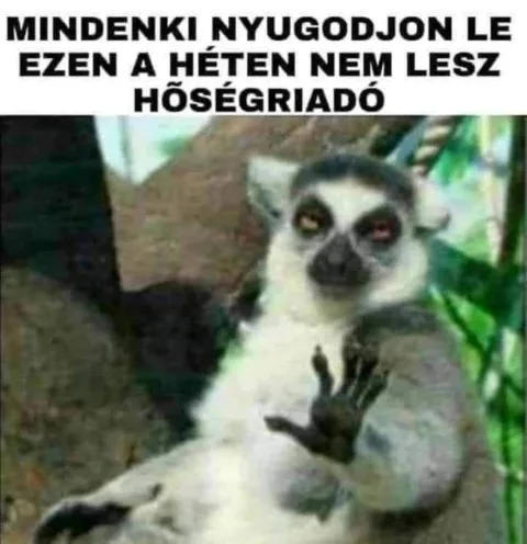 #VK1777271468