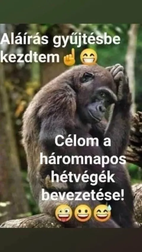#VK1777271486