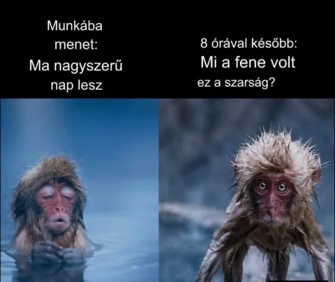 #VK1777353949