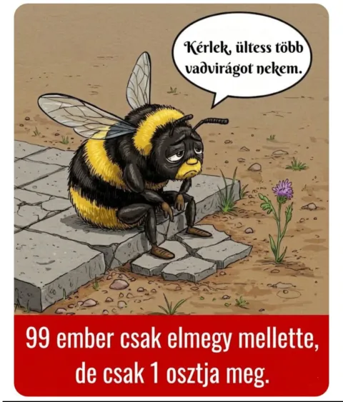 #VK1777440794