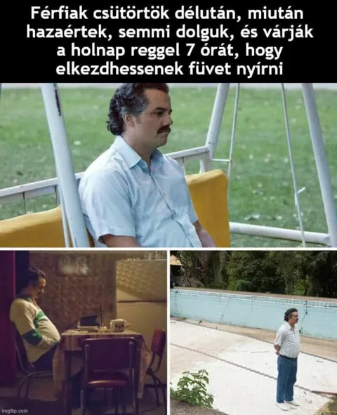 #VK1777575945