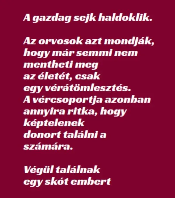 Vicc: A gazdag sejk haldoklik, csak egy vérátömlesztés mentheti meg Vicc: A gazdag sejk haldoklik, csak egy vérátömlesztés mentheti meg -…