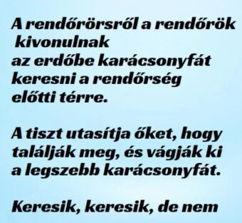 Vicc: A rendőrök kivonulnak az erdőbe karácsonyfát keresni – TUDNOD…