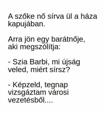 Vicc: A szőke nő sírva ül a háza kapujában –