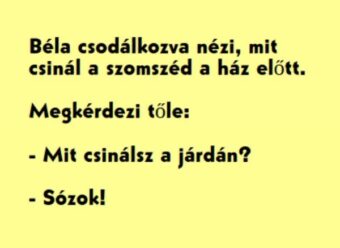 Vicc: Béla csodálkozva nézi, mit csinál a szomszéd a ház előtt -…