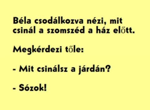 Vicc: Béla csodálkozva nézi, mit csinál a szomszéd a ház Vicc: Béla csodálkozva nézi, mit csinál a szomszéd a ház előtt -…