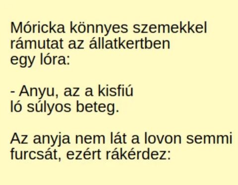 Vicc: Móricka könnyes szemekkel rámutat az állatkertben egy lóra: -…